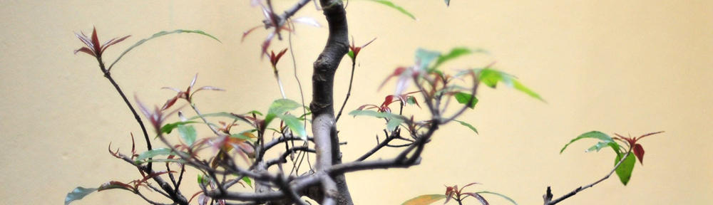 おっさんの戯言帳